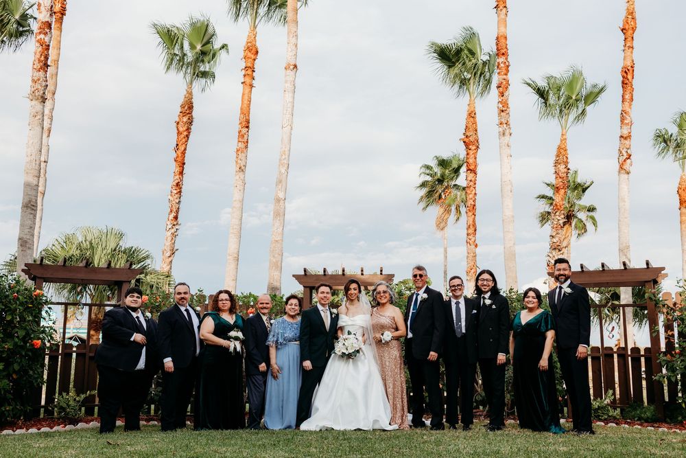Wedding party posing outdoors with tall palm trees under cloudy sky.