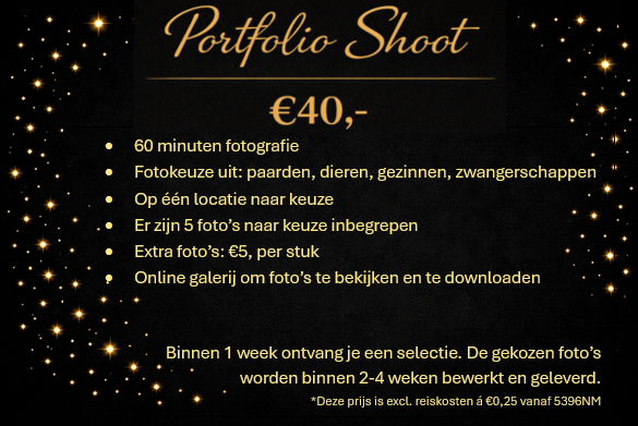 Prijzen portfolioshoot