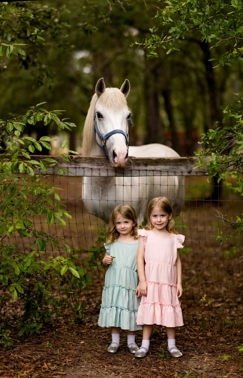 Two young girls in pastel dresses pose before a white horse peering over a fence in a lush green setting.