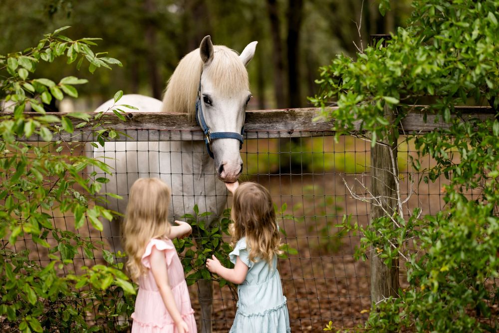 Two young girls in dresses feeding a white horse over a fence surrounded by lush green trees.