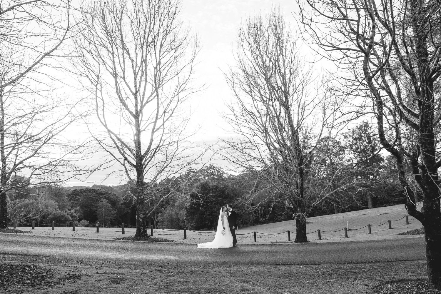 Spicers Clovelly Estate Montville Wedding - Sunshine Coast Wedding Photographer