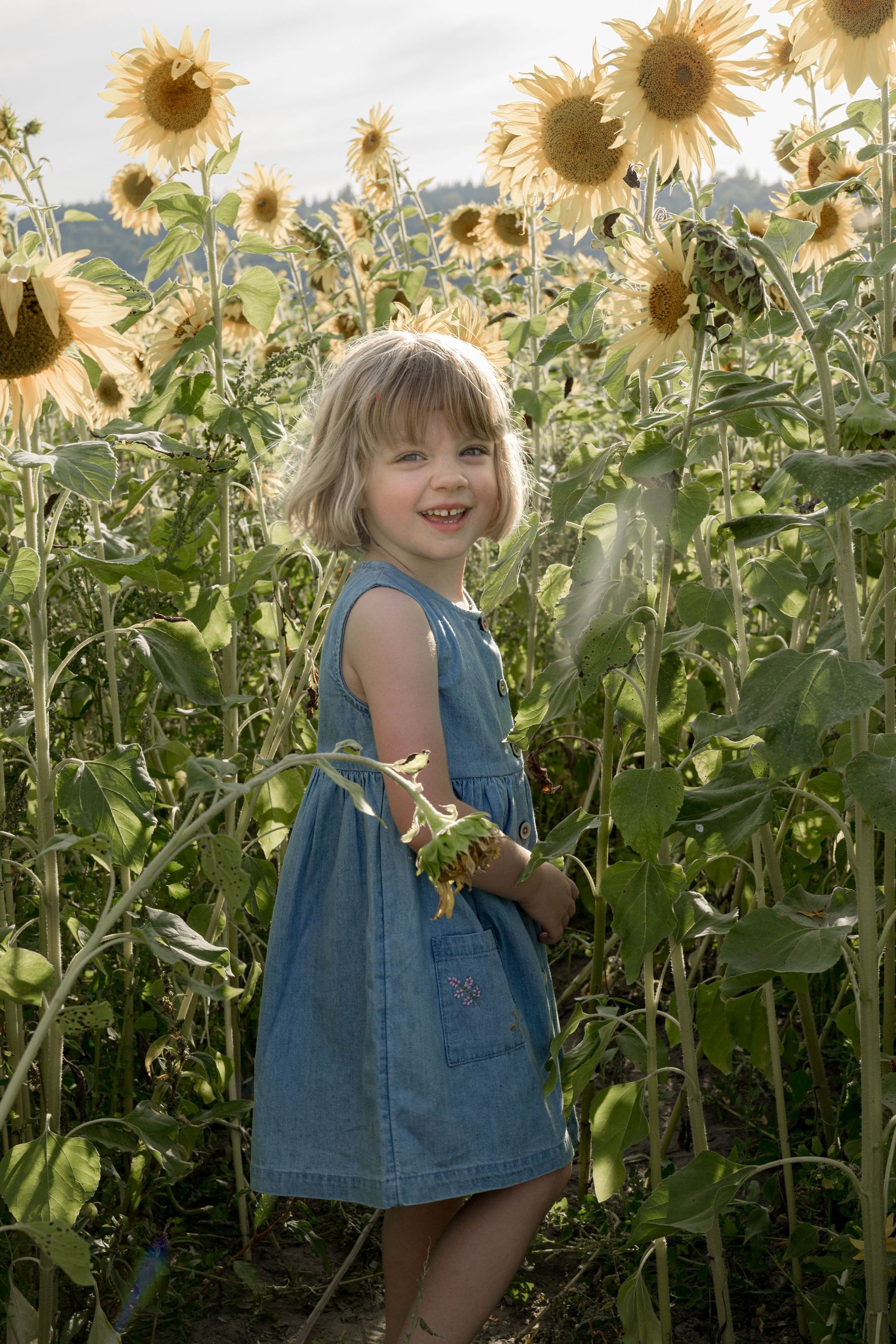 Young girl in blue dress smiling among tall sunflowers in a sunny field.