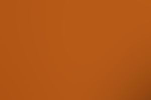 Solid burnt orange background with a smooth, even texture in a warm amber-brown hue.