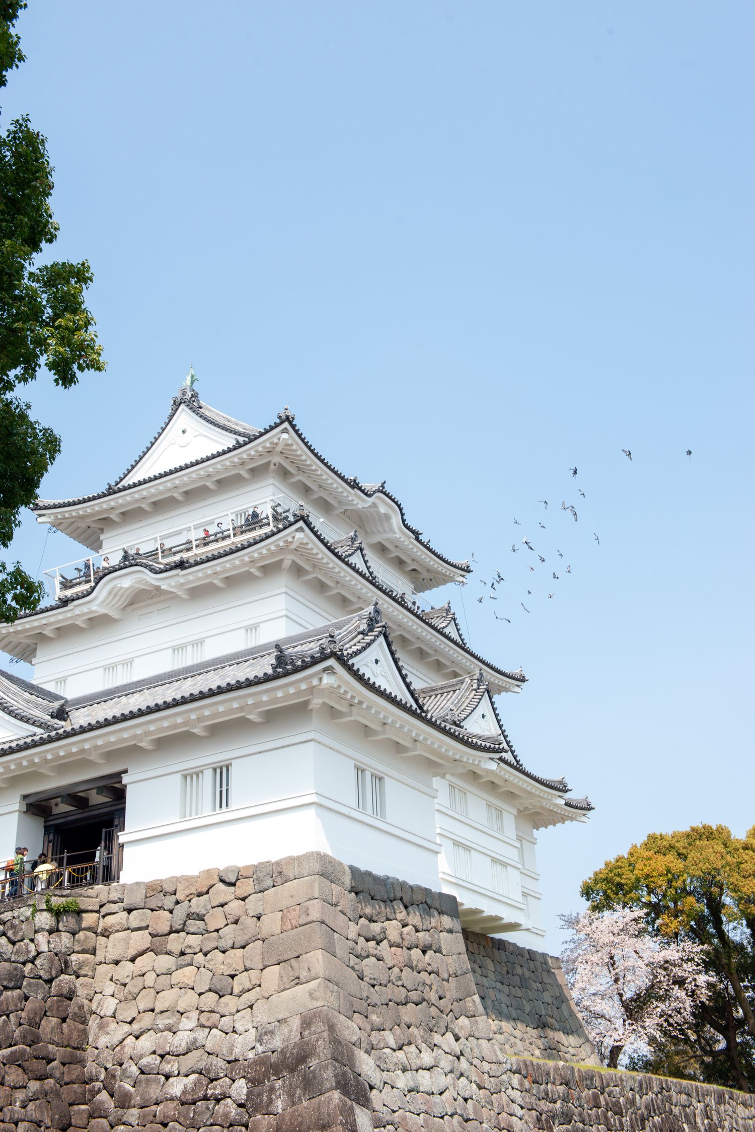 White Japanese castle tower with traditional tiered roofs, stone walls, cherry blossoms, and birds flying against a clear blue sky.