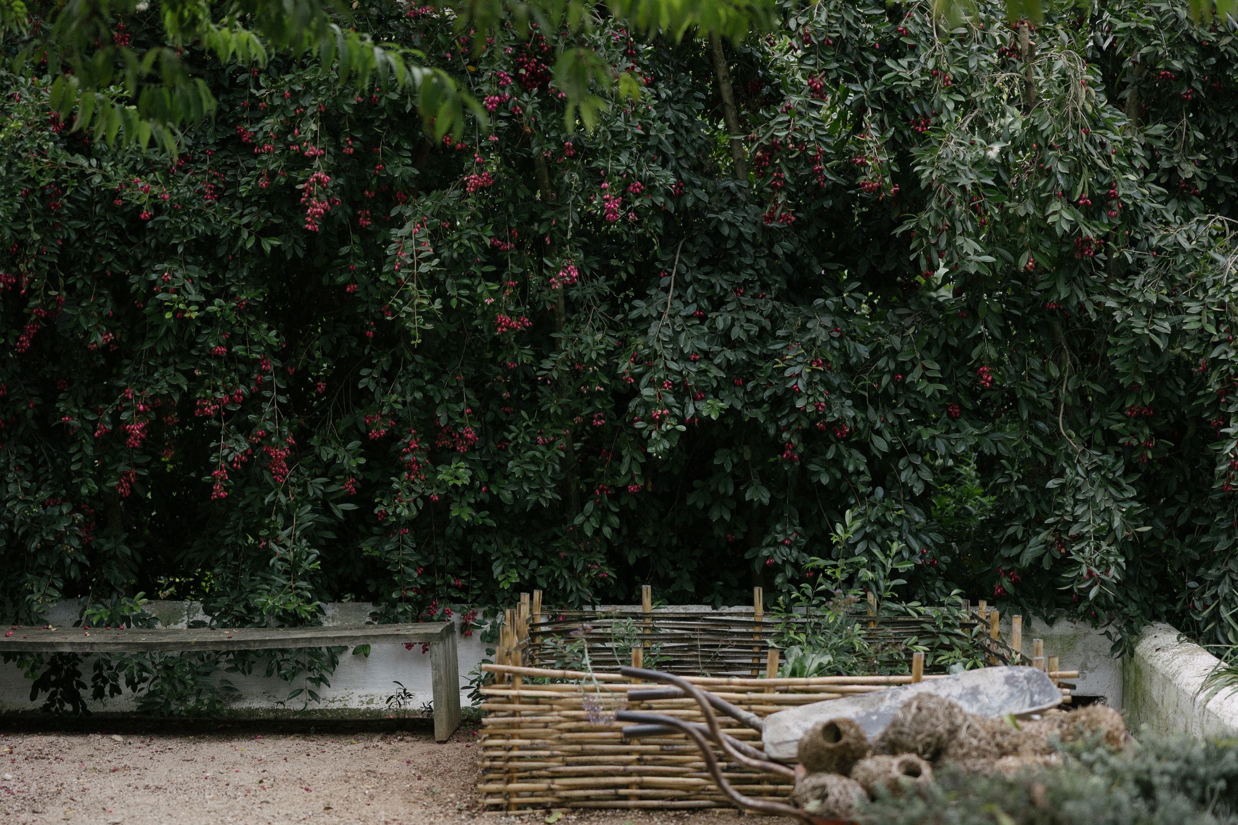 Browse Wedding venues for real weddings by Christene de Coning Photography at Langskuur, Garden Route, a perfect Hideaways wedding.