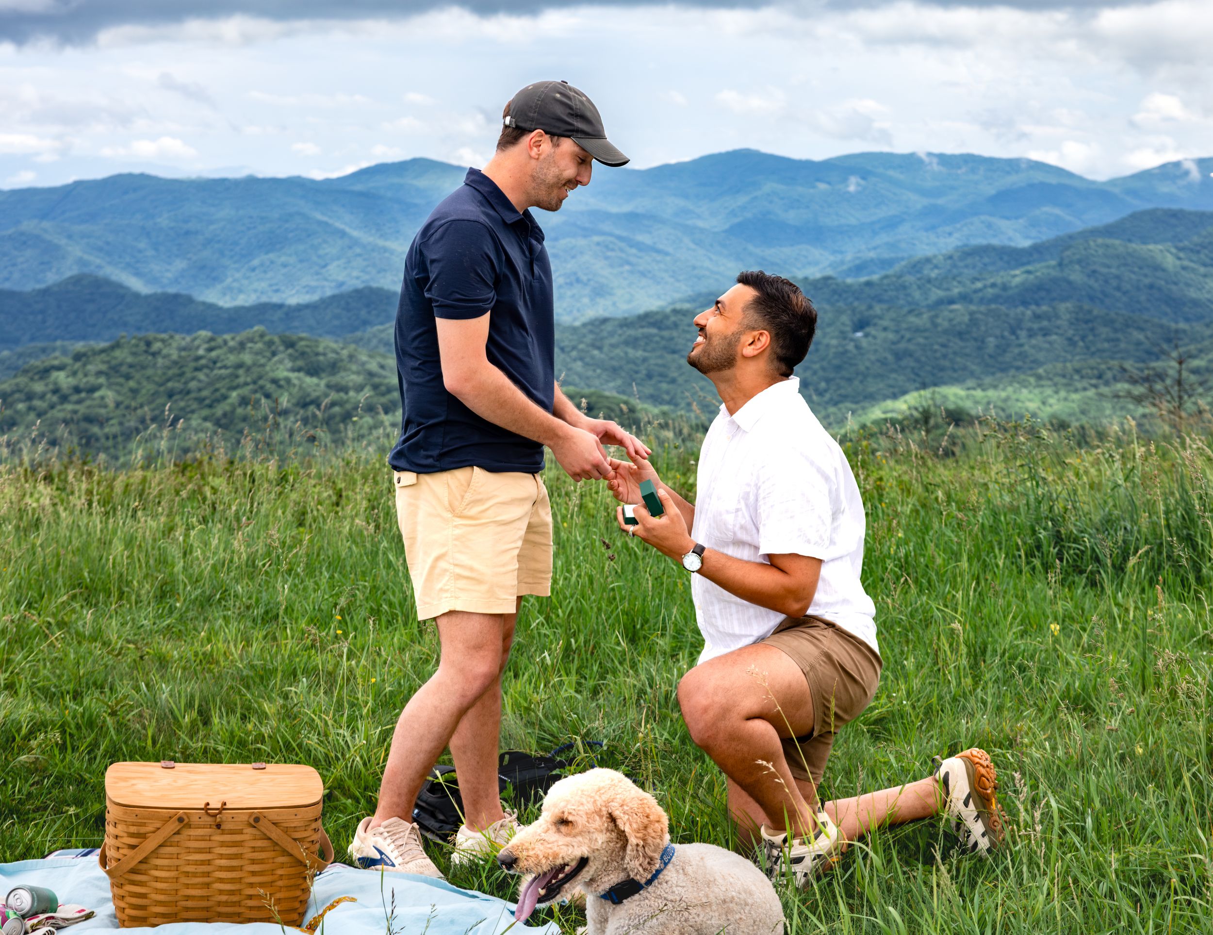 Man proposes to partner on one knee at scenic mountain picnic with golden retriever nearby.