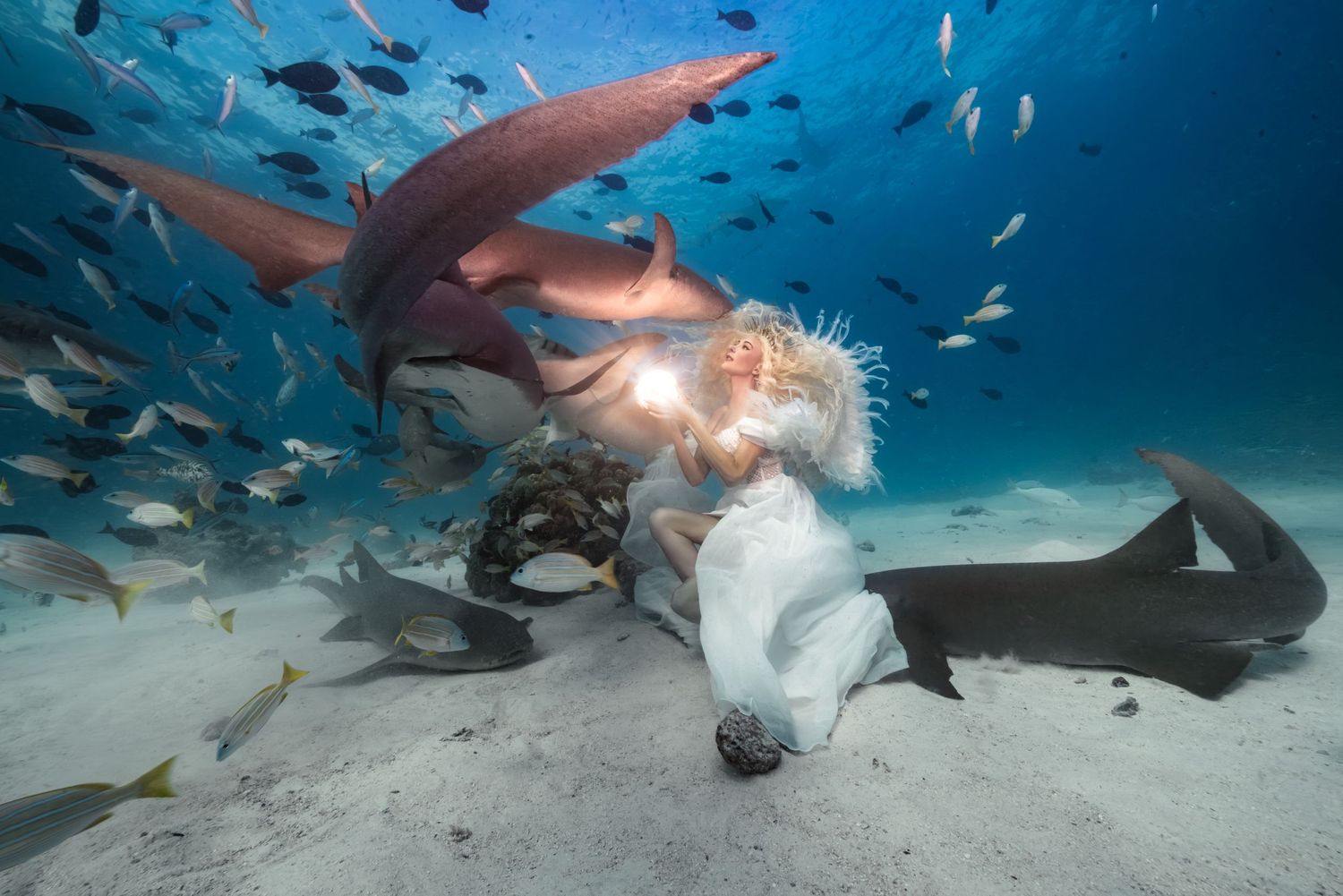 Diver in white dress surrounded by nurse sharks and tropical fish on sandy ocean floor.