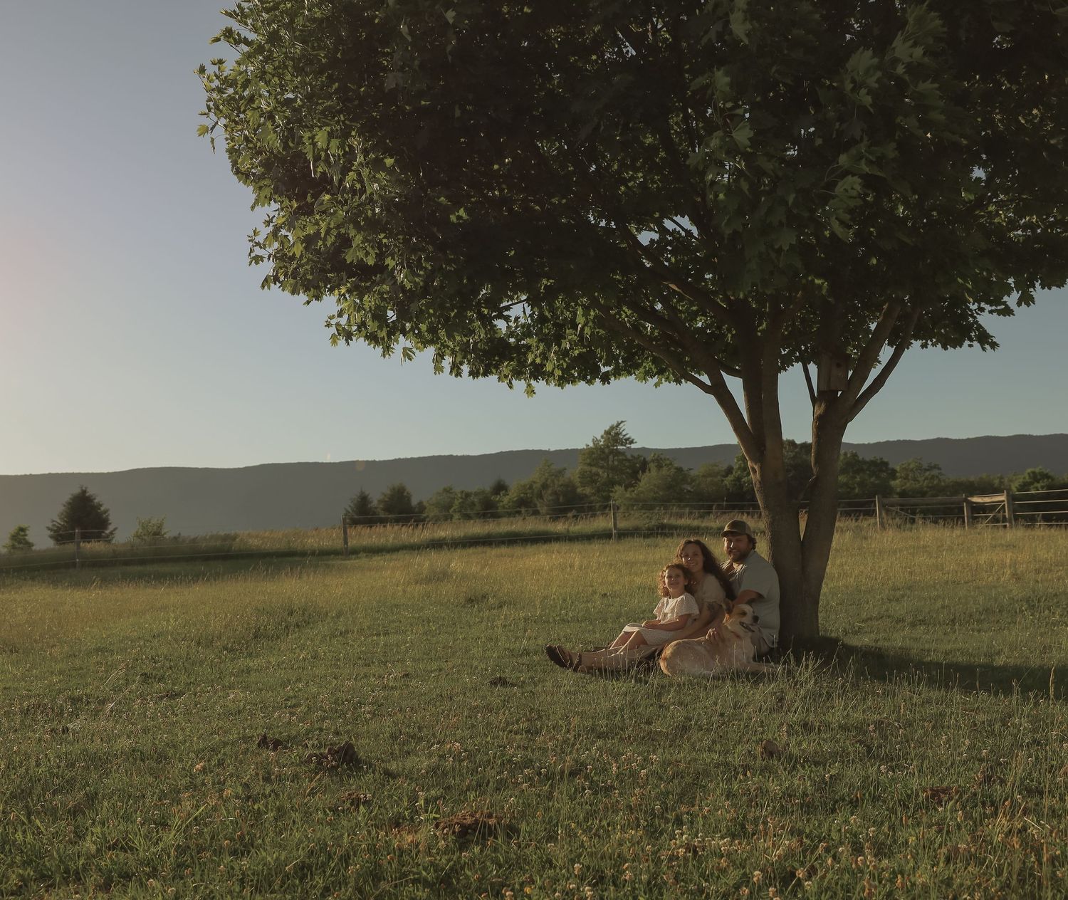 Couple sitting together under a lone tree in a scenic green meadow at sunset.
