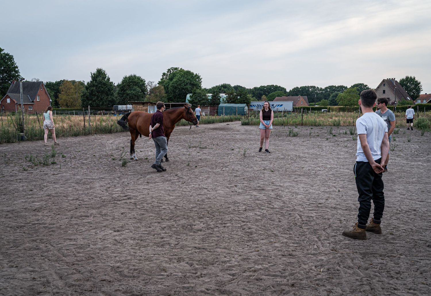 Teamactiviteit met paarden gericht op verbinding en samenwerking.