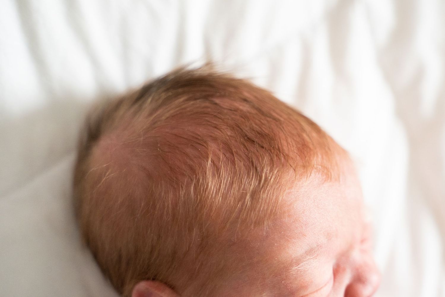 Young boy tenderly gazing at sleeping newborn baby sibling wrapped in white blanket on white bed.