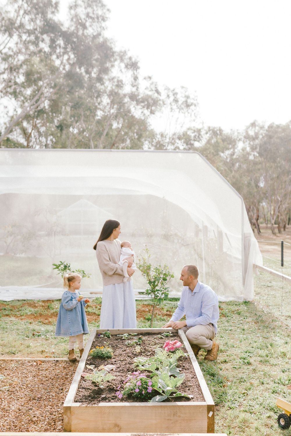 Family of four with newborn baby gathered around a raised garden bed near a greenhouse in a serene outdoor setting.