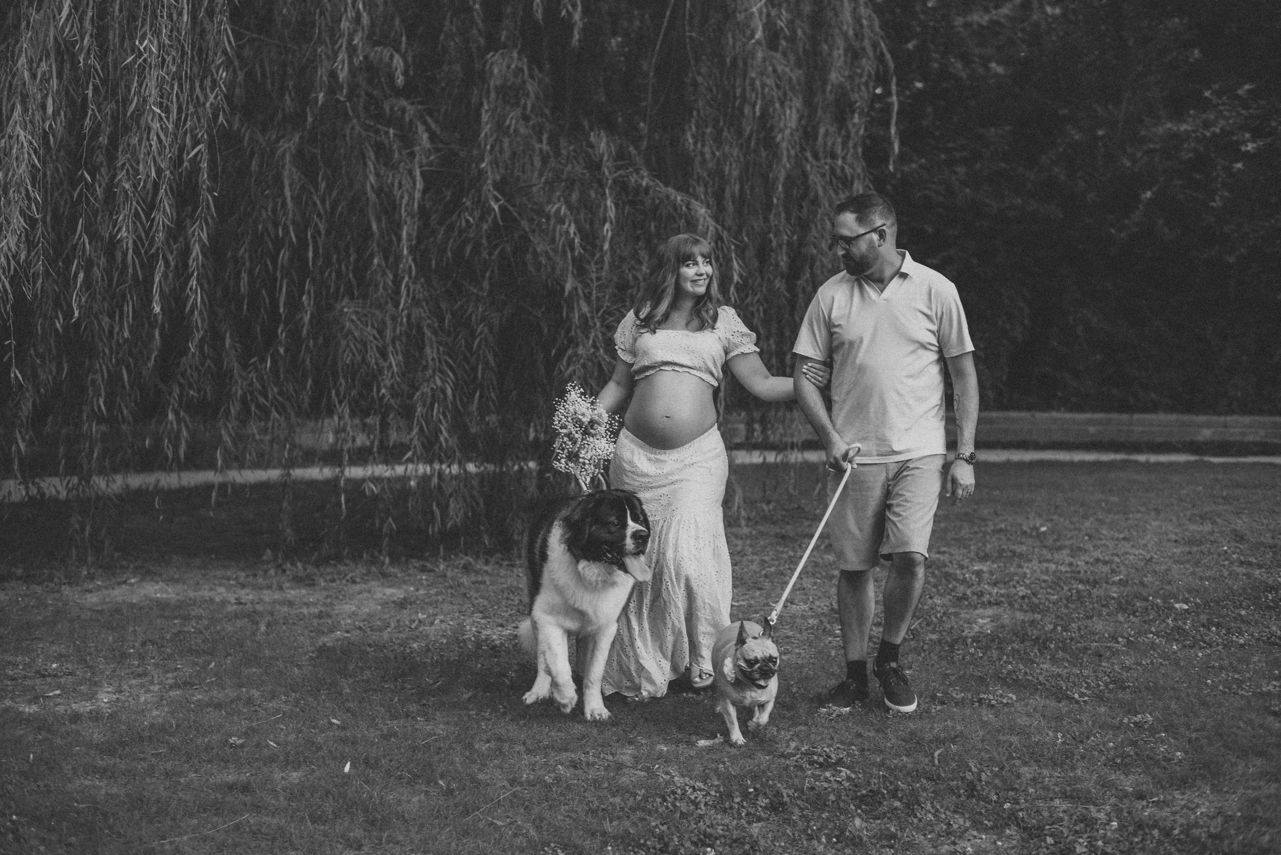 Black and white maternity photo of pregnant couple with two dogs under a weeping willow tree outdoors.