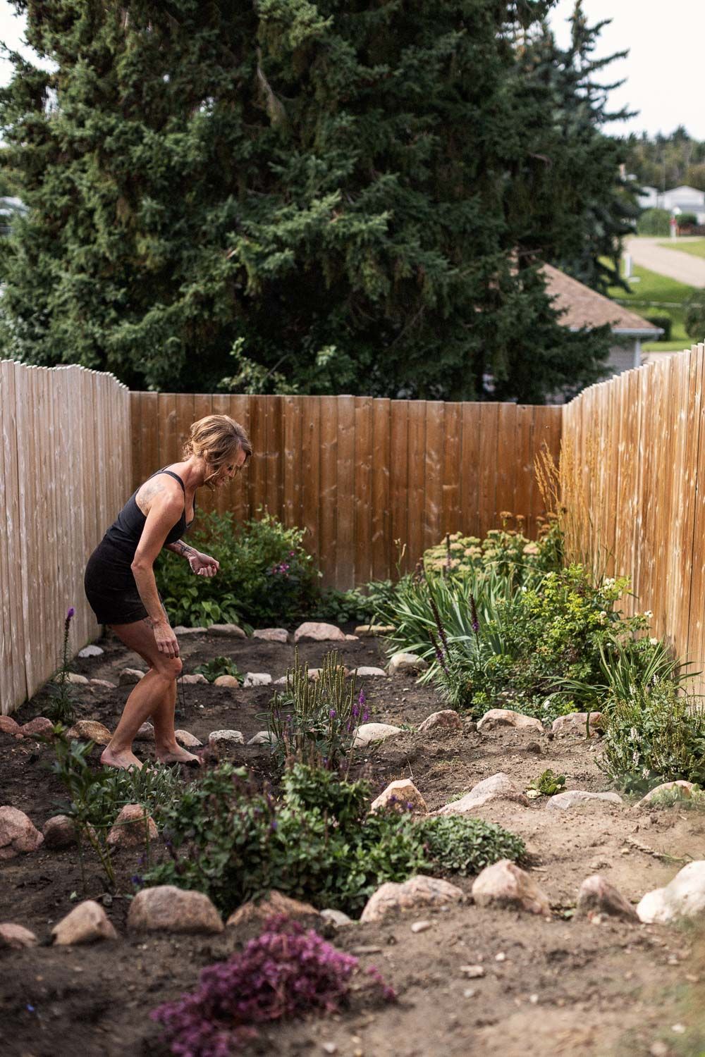 Woman tending to a garden bed with rocks and plants along a wooden fence in a backyard.