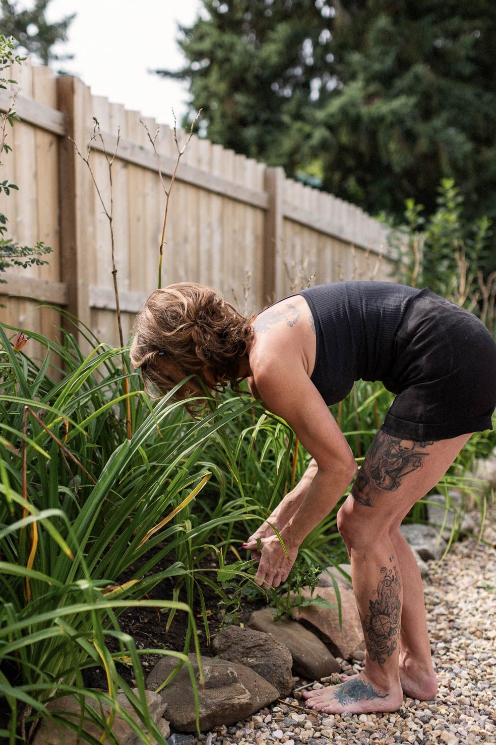 Woman with leg tattoos tending to a garden bed with rocks and tall green plants beside a wooden fence.