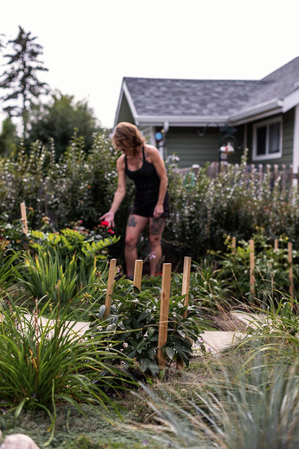 Woman with tattoos tending to a lush garden with wooden stakes near a gray house.