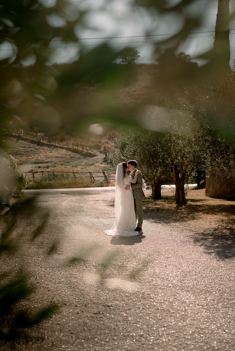 Bride and groom embrace on a sunlit gravel path framed by olive tree branches at vineyard.