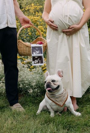 Maternity Session, Photographer Near Me, Quinte West, Prince Edward County Photographer, Maternity Photographer, Travel Photographer