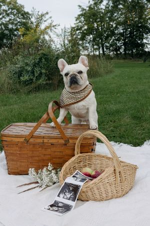 Maternity Session, Photographer Near Me, Quinte West, Prince Edward County Photographer, Maternity Photographer, Travel Photographer