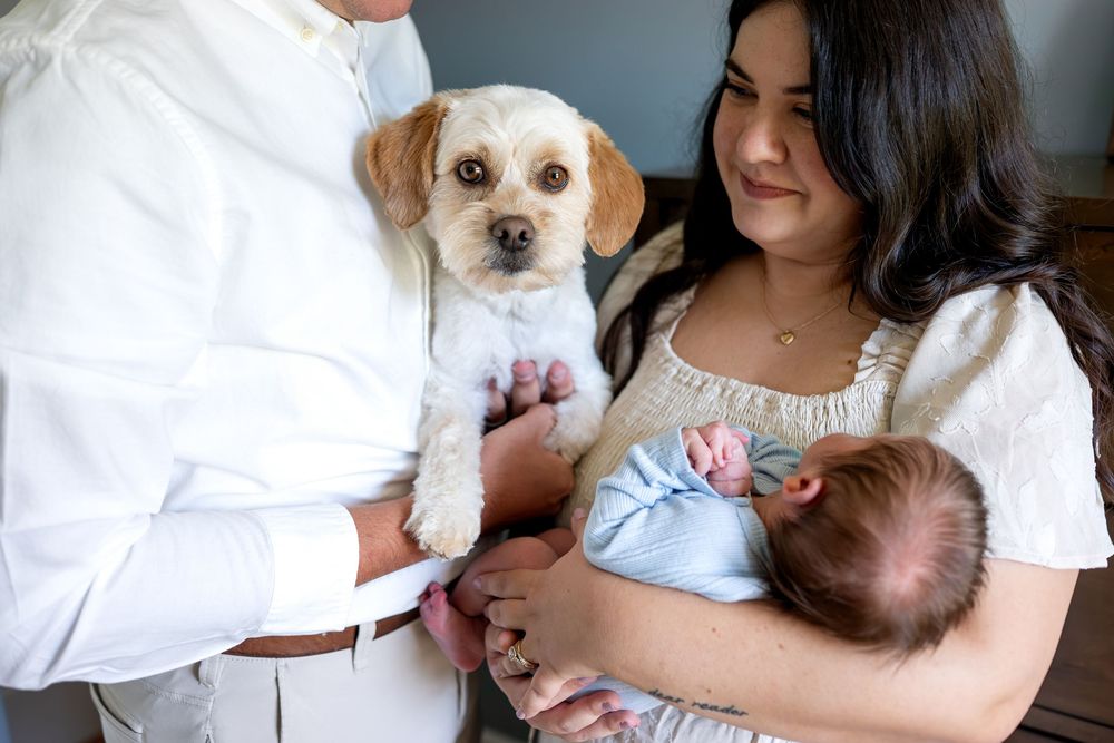 New parents hold their fluffy white dog and newborn baby in soft natural light.