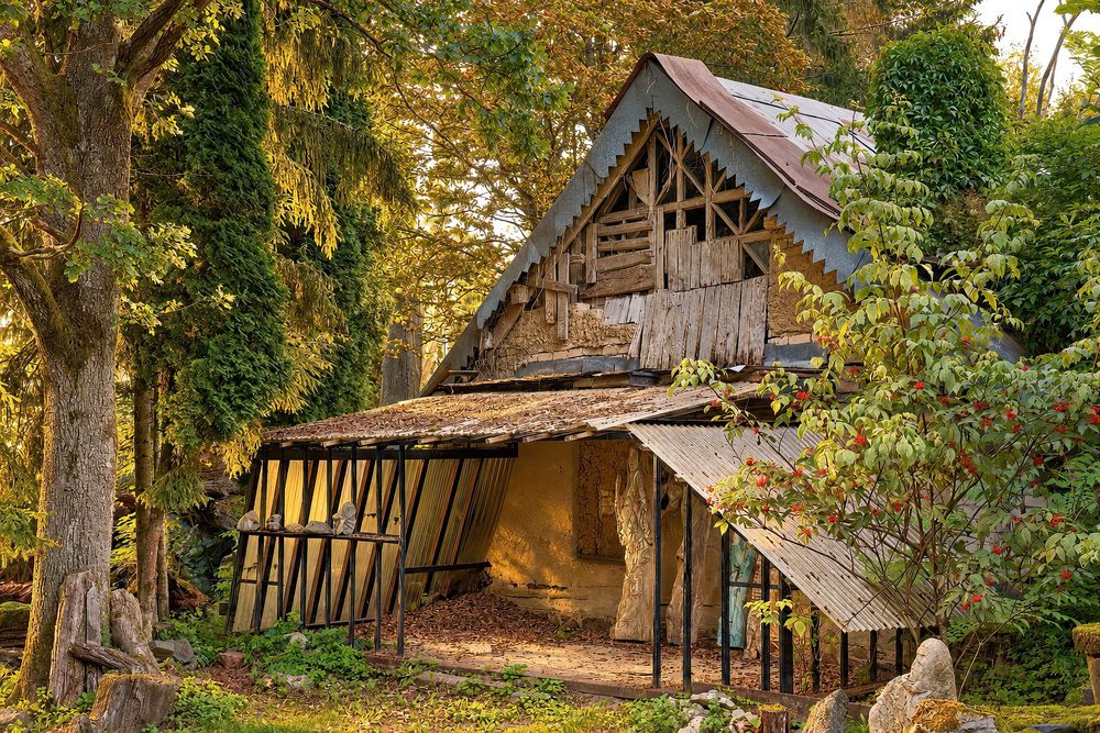 A rustic, weathered wooden cabin surrounded by lush green trees in a forest setting.