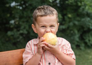 Young boy eating a fresh apple outdoors, sitting on a bench with green trees in the background.