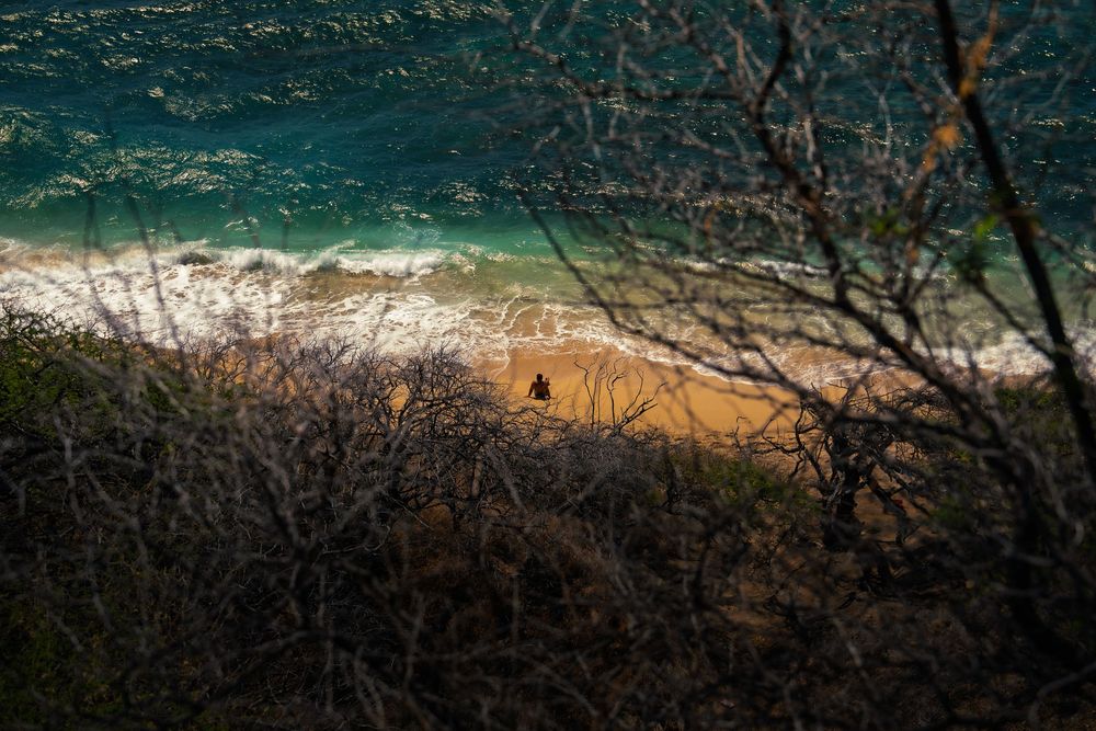 A lone person sits on a golden sand beach as turquoise waves roll in, viewed through bare branches from a bluff in Honolulu, Hawaii.