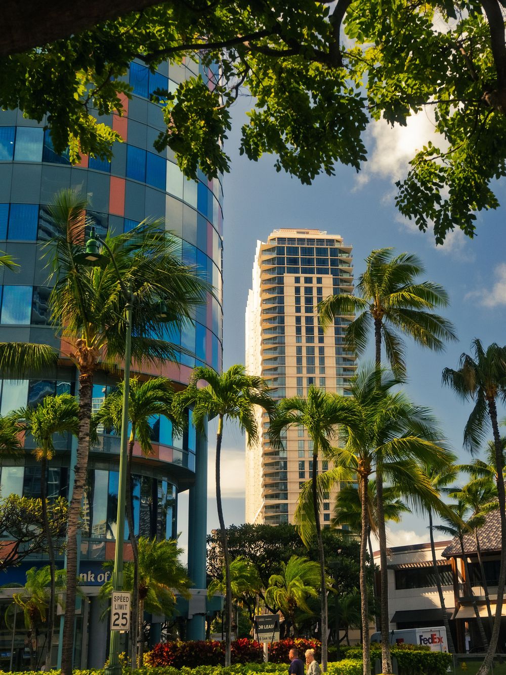 A curved blue glass office tower and a tall high-rise rise above lush green palm trees under a bright sky in downtown Honolulu, Hawaii.