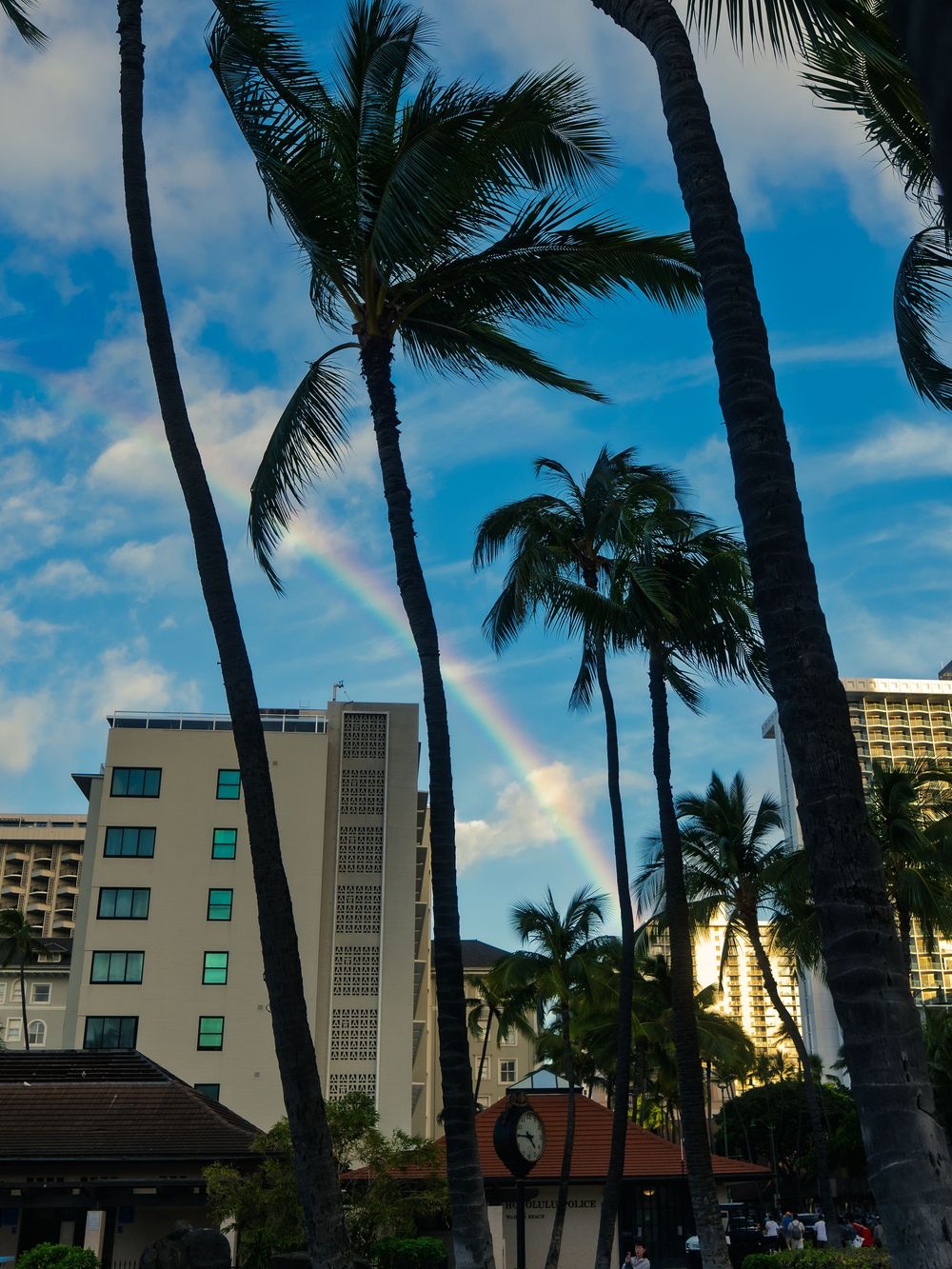 A rainbow arcs over Waikiki hotel towers and a street clock, framed by silhouetted palm trees against a blue sky in Honolulu, Hawaii.