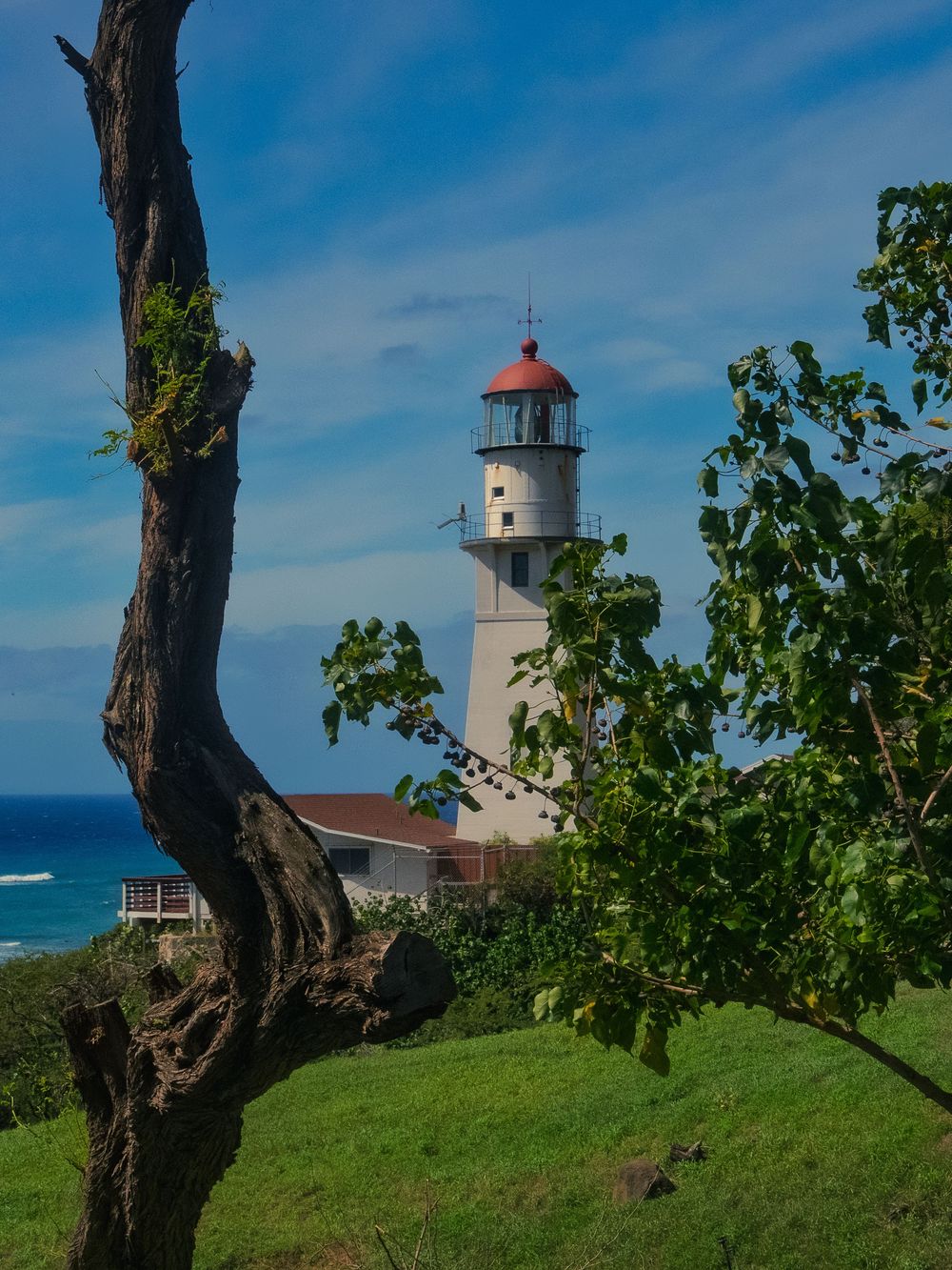The white, red-domed Diamond Head Lighthouse rises above green grass and trees against a blue sky, with the ocean beyond in Honolulu, Hawaii