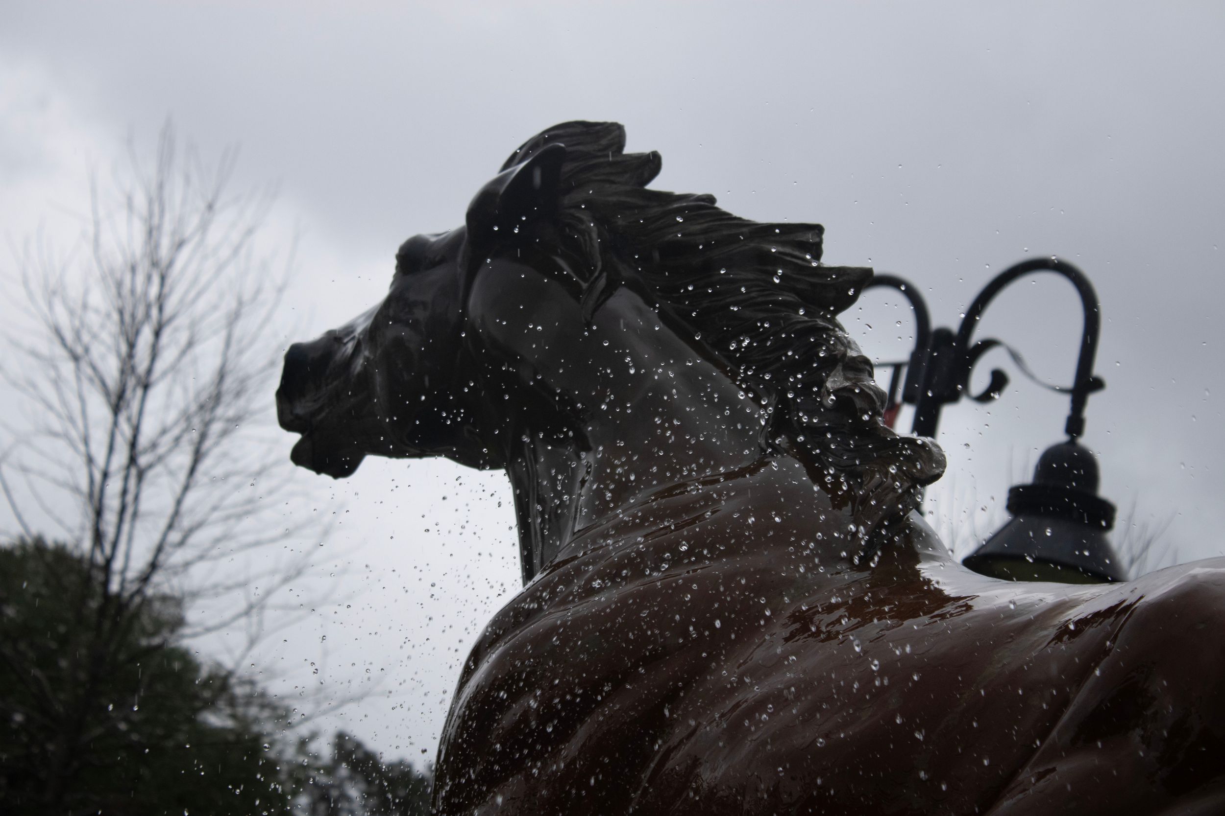 Water droplets skimming across a horse statue.