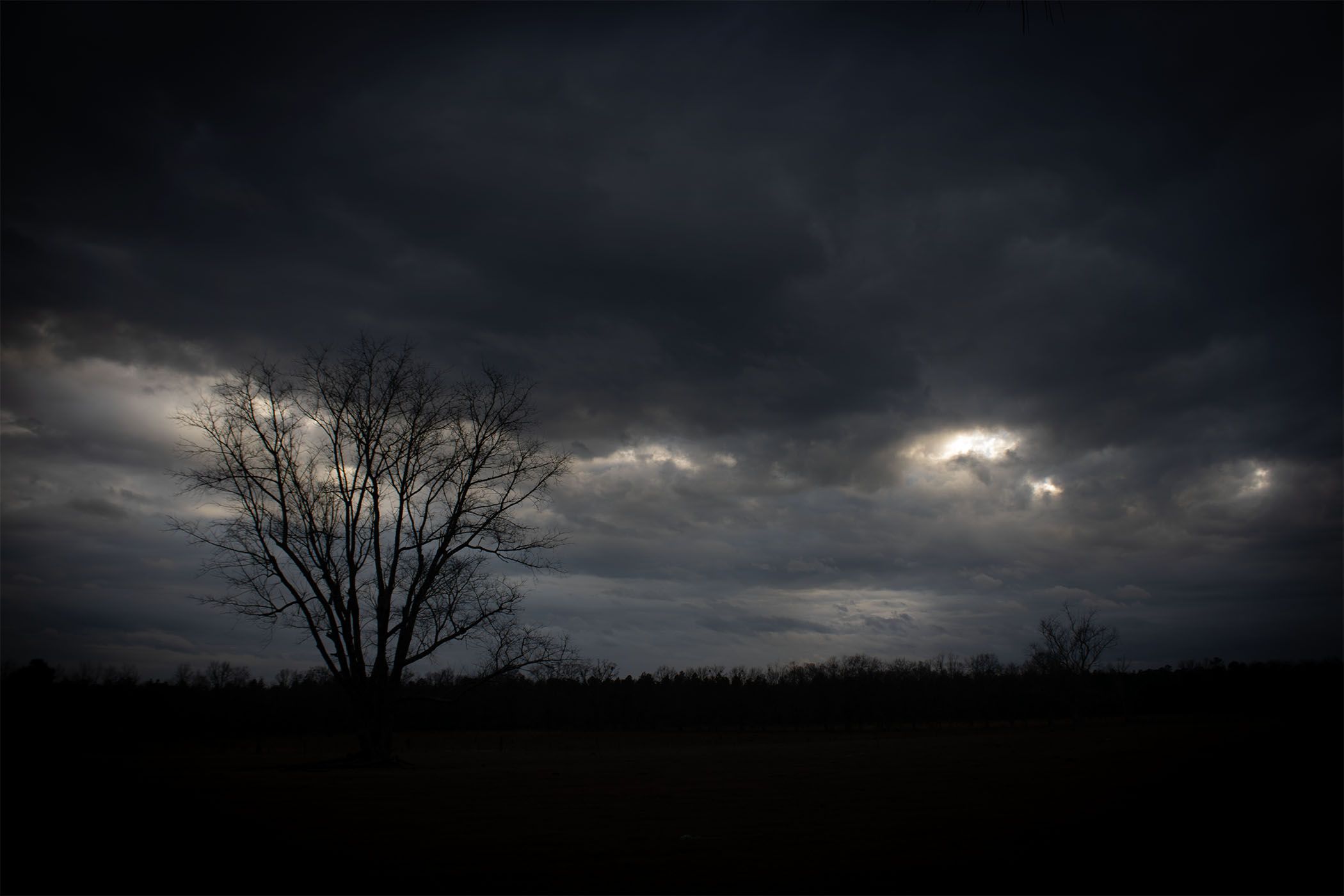 A dark, cloudy field.