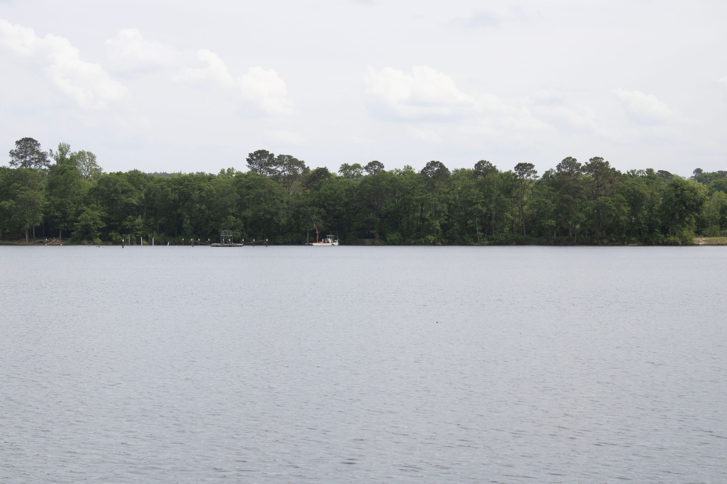 A lake at a park.