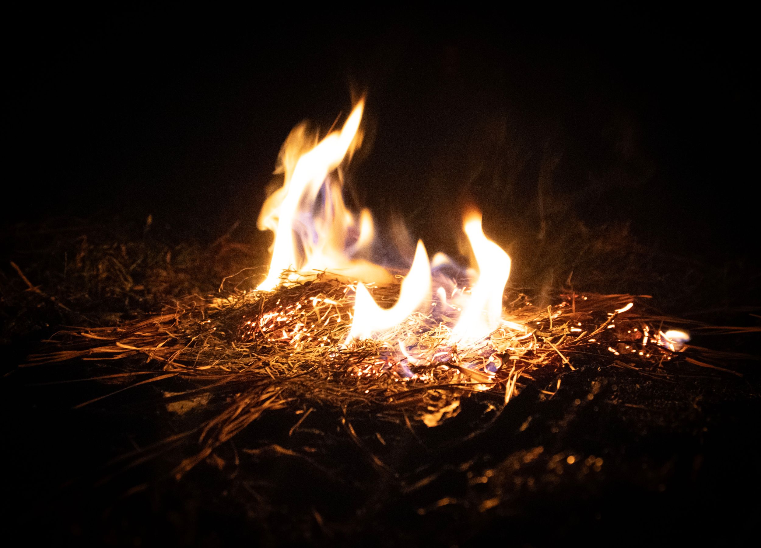 A small burning flame.