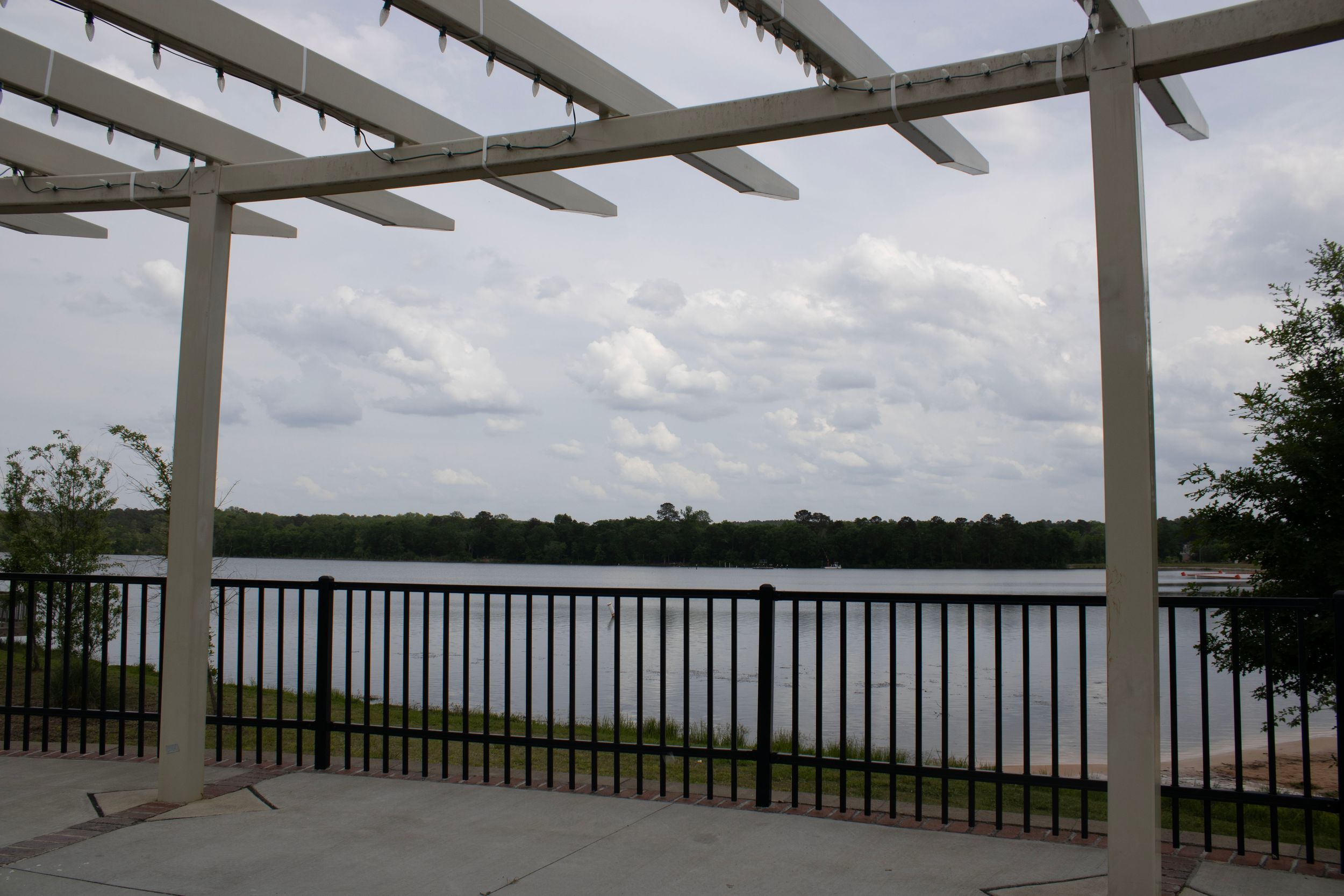 Lake photos at a park.