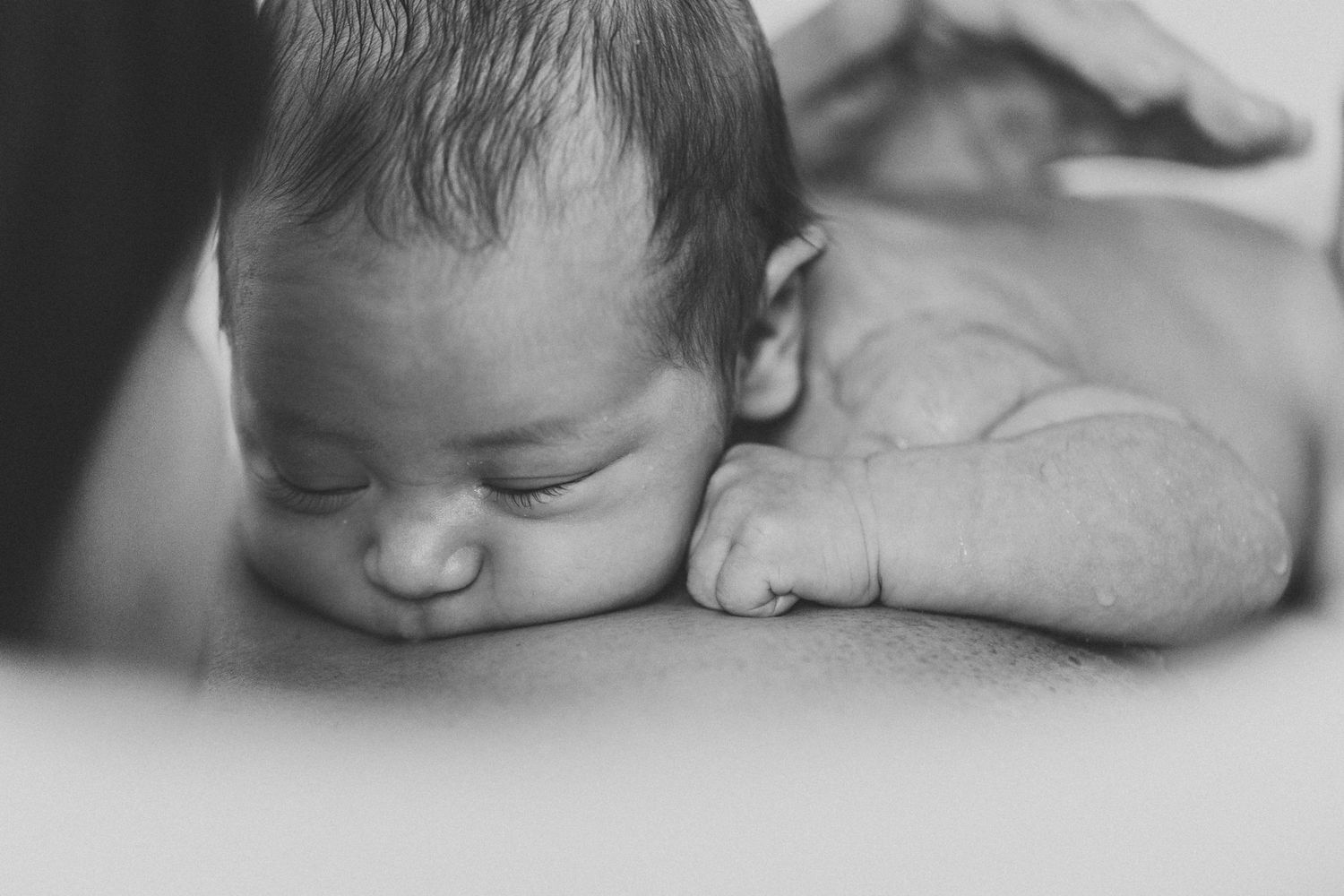 A serene black and white close-up of a sleeping newborn's peaceful face.