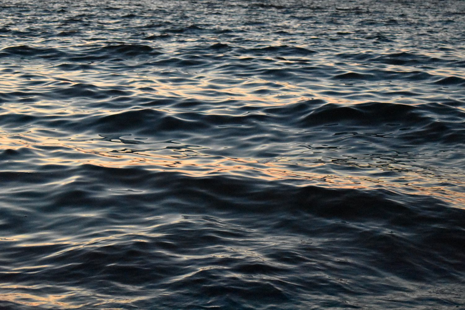 Dark ocean waves ripple at sunset, reflecting warm golden hues on the water surface.