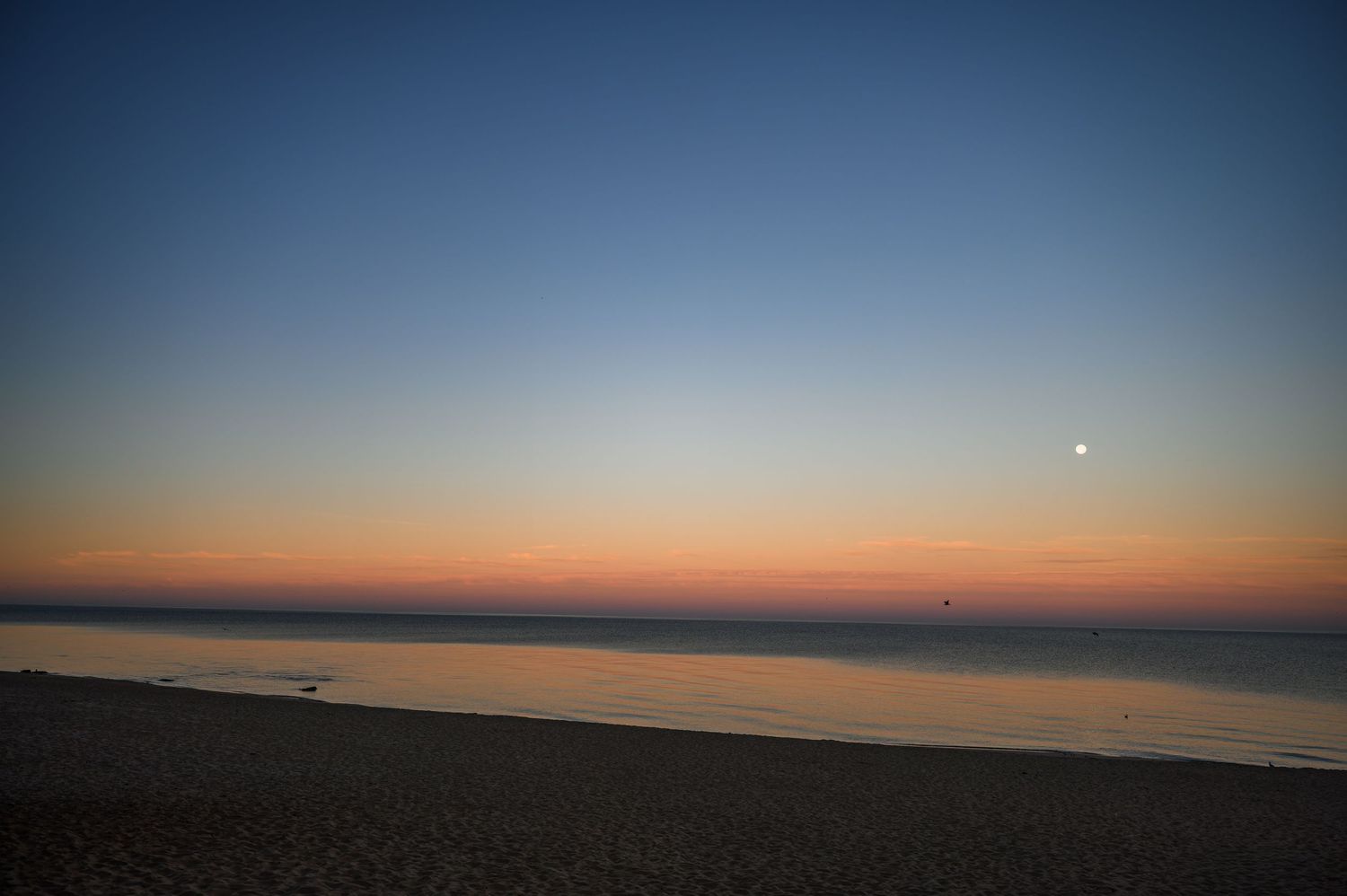 Serene beach sunset with gradient sky from blue to orange, calm ocean waters, and a bright moon visible on the horizon.