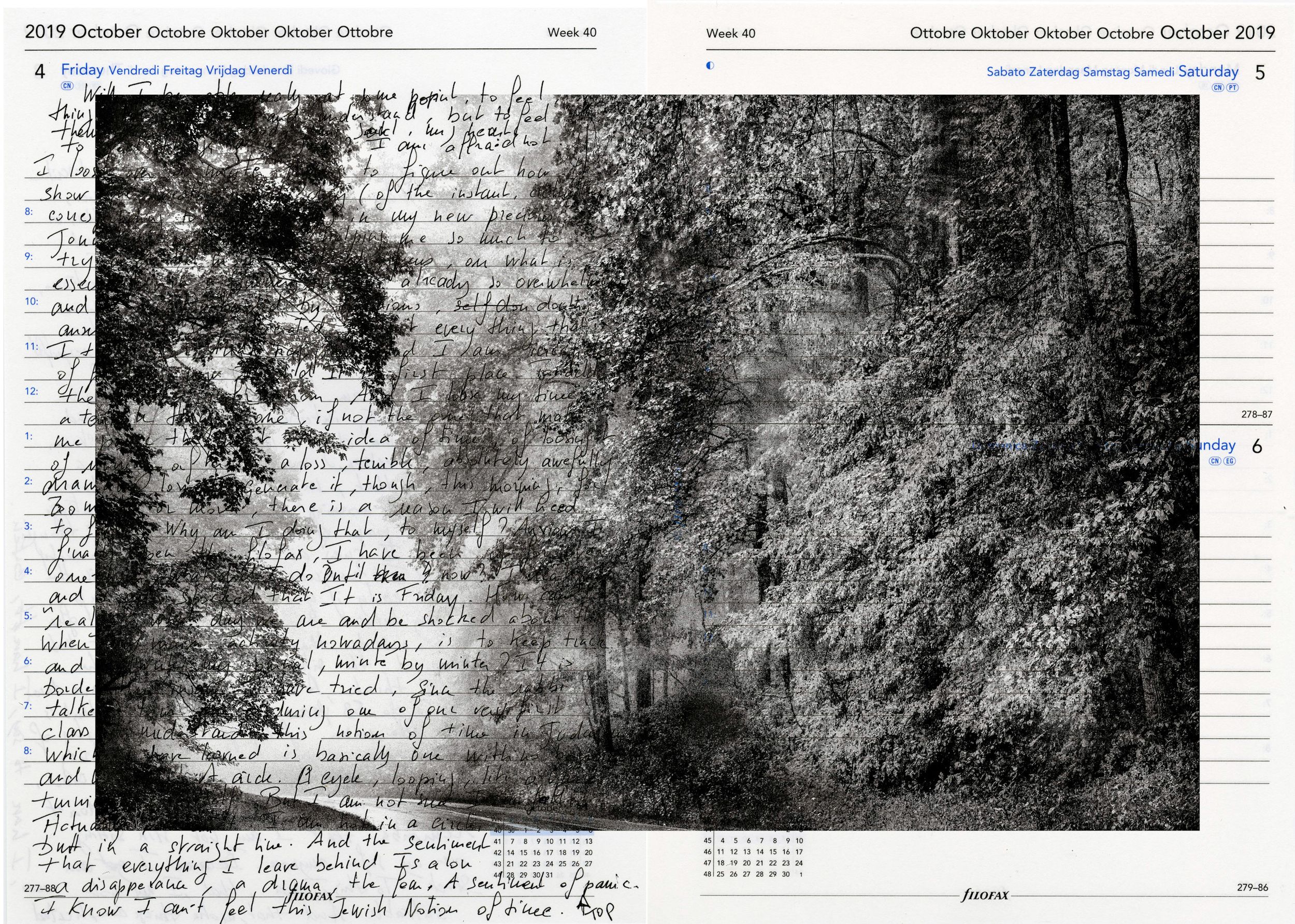 A 2019 October calendar featuring a moody black-and-white forest path photo with handwritten journal notes overlay.