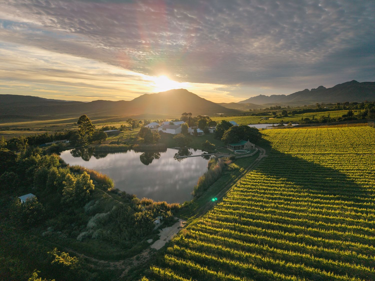 Langdam Farm & placesza partner