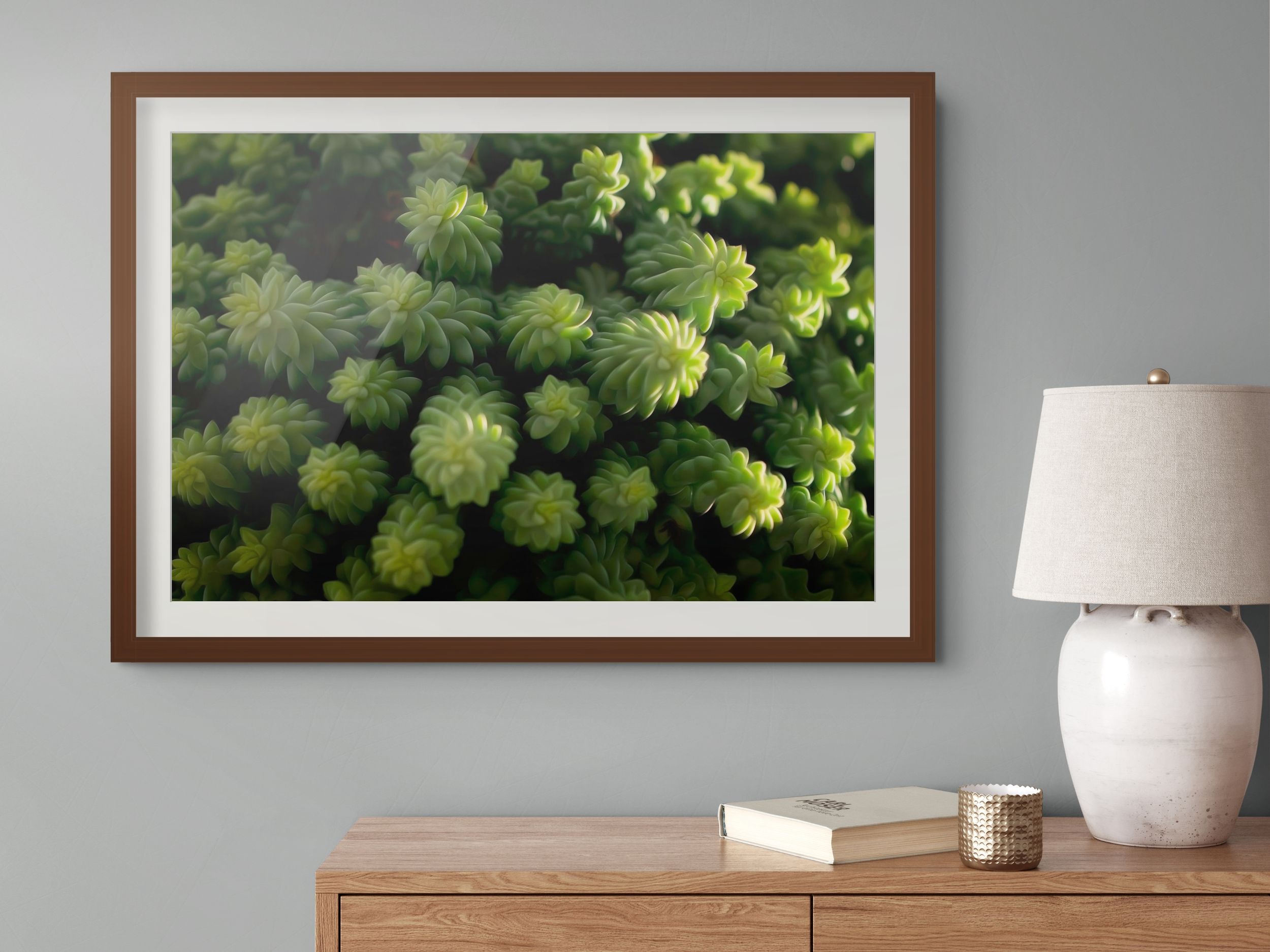 Framed botanical print of lush green succulent plants hanging on a gray wall above a wooden dresser with a lamp.