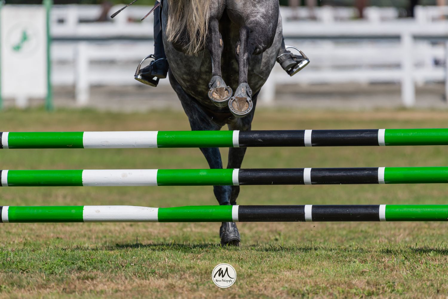 Show jumping course with Canadian flag-themed red and white rails set up outdoors near a white equestrian arena.