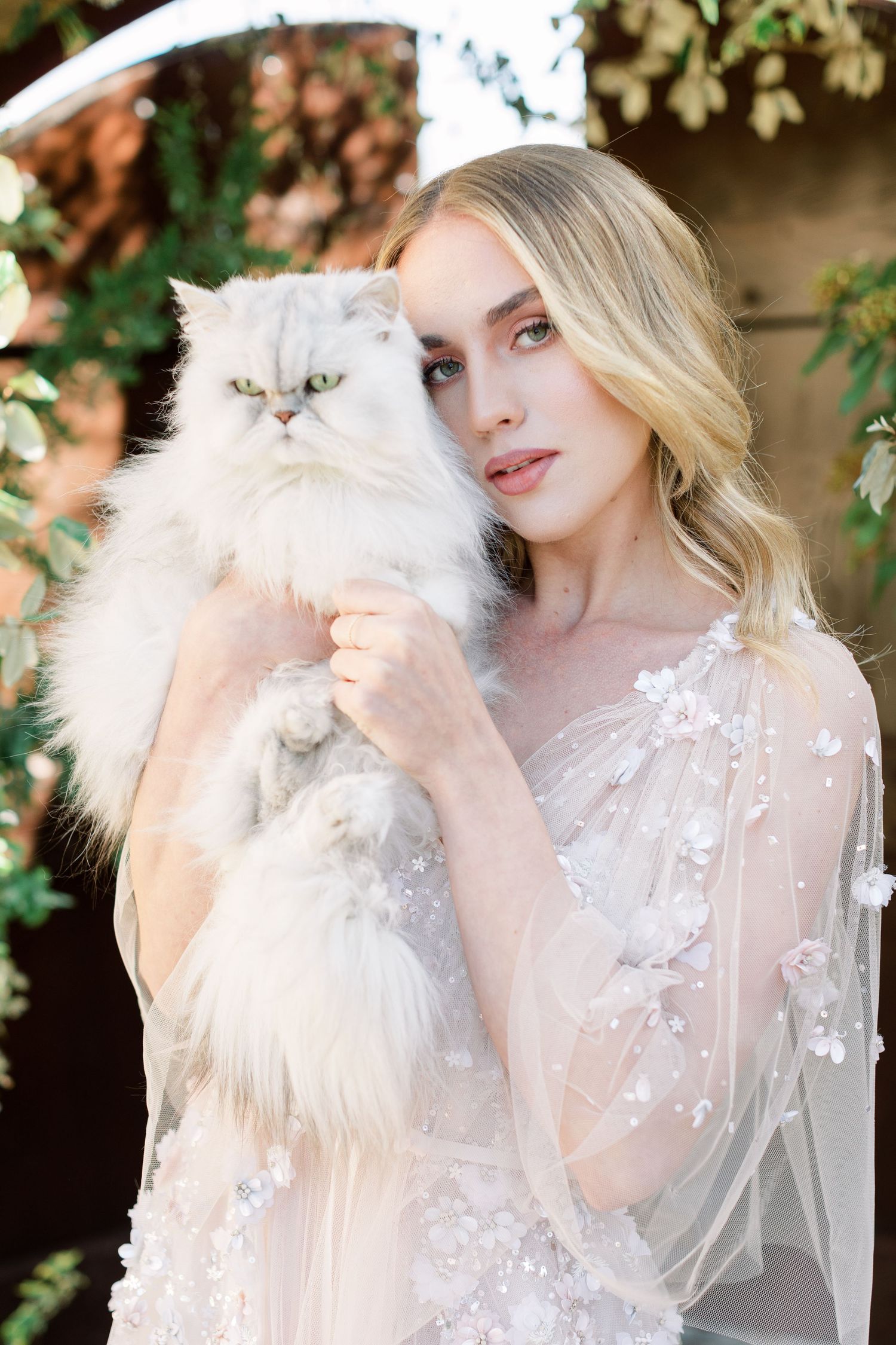 A fluffy white Persian cat being held in a delicate lace dress outdoors.