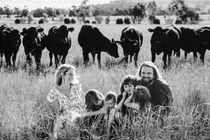 curious cattle during family photo session