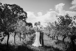 bride and groom kiss in vineyard