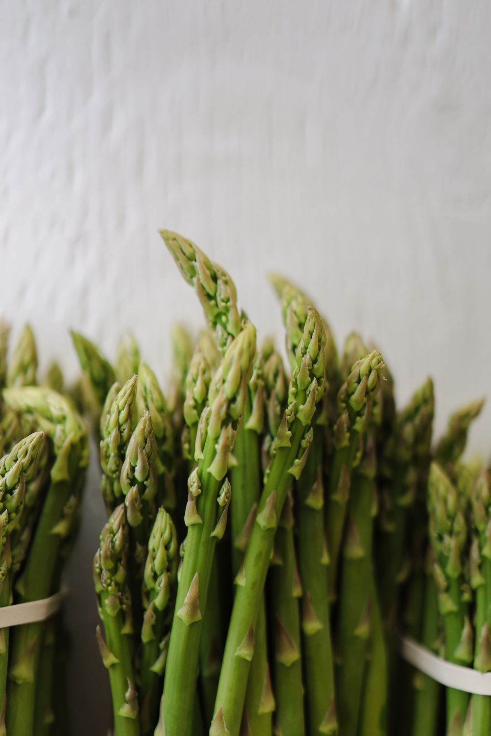 Fresh green asparagus spears lined up in a row on a light background showing their tender tips and stalks.