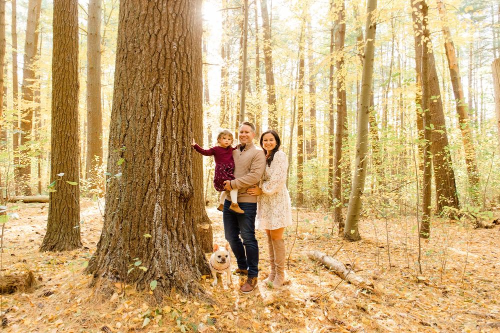 A family poses playfully by large trees in a sunlit autumn forest.