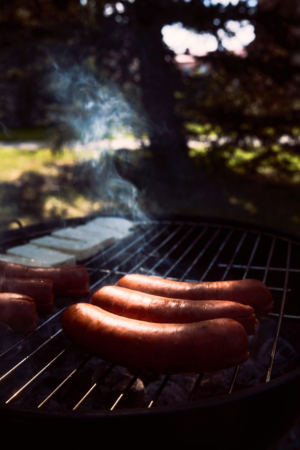 grilled sausages, charcoal grill, summer barbecue, cookout photography, food photography, cinematic food photography, outdoor cooking