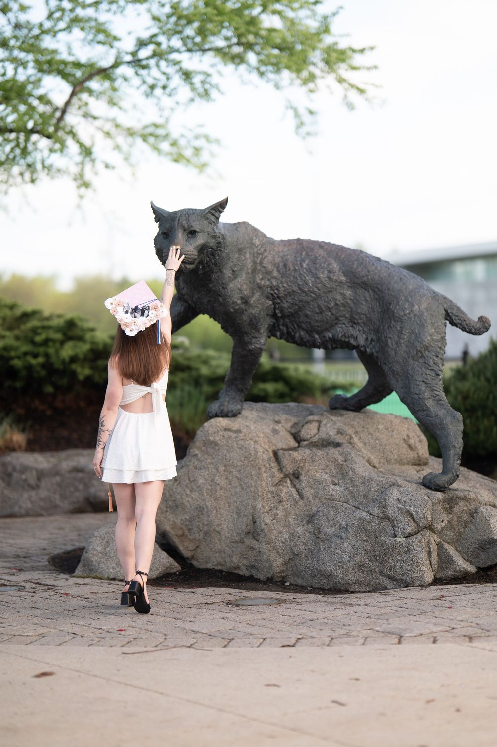 Graduate in white dress and cap touches the nose of a wildcat mascot statue on campus.