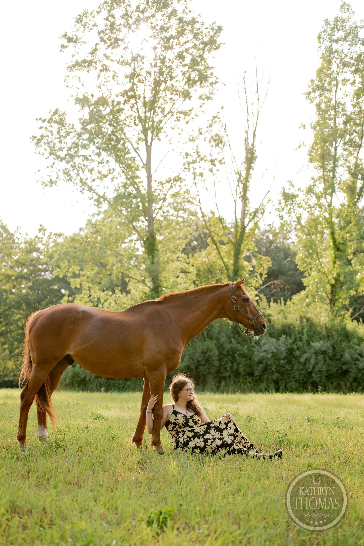 A brown horse grazes while someone in a floral dress relaxes in a sunlit meadow.