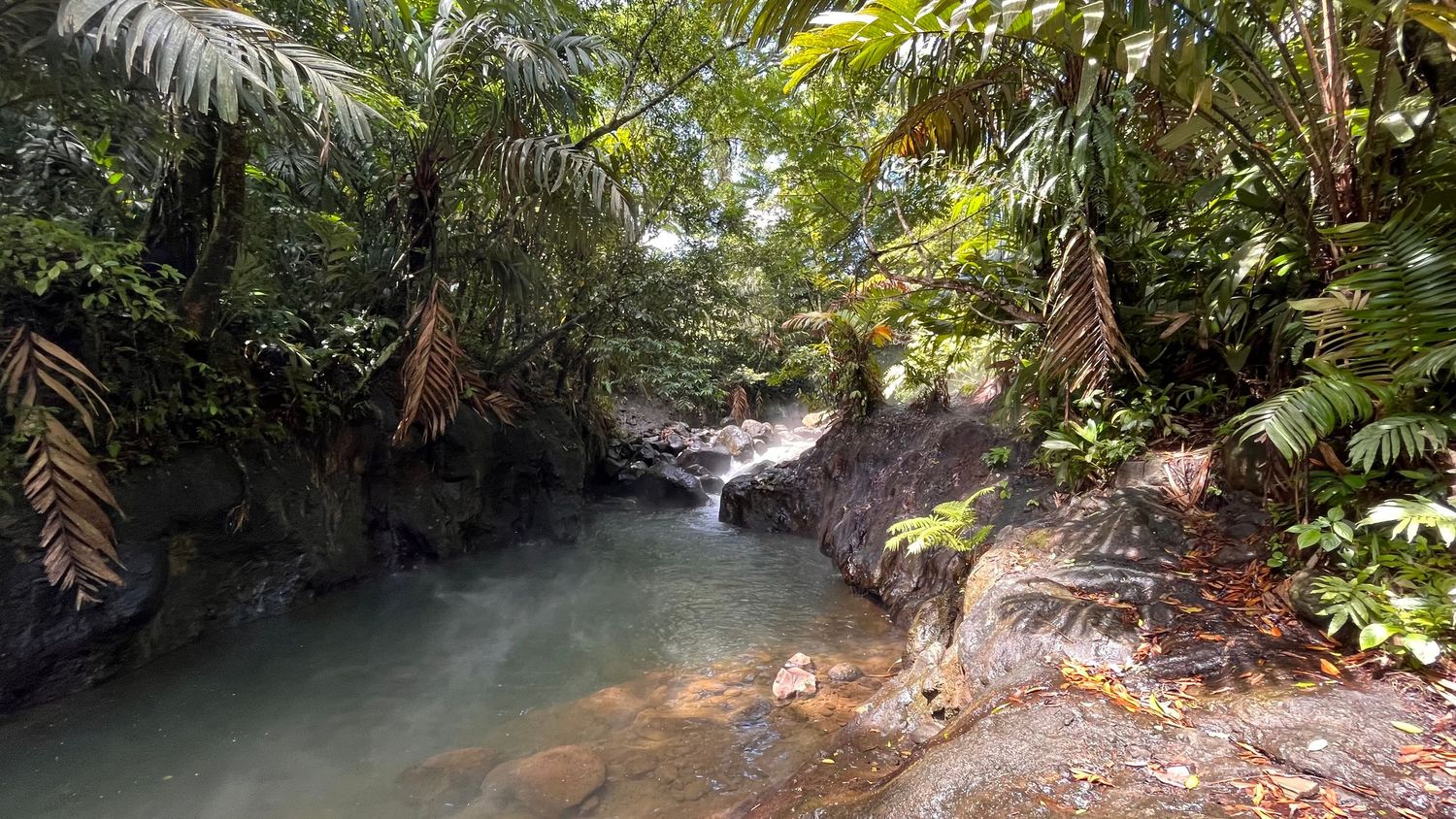 A scenic river stream flows through a lush tropical rainforest with crystal clear turquoise waters.